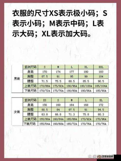 欧洲 M 码尺寸范围 亚洲 S 码尺寸范围 服装尺码详细解读